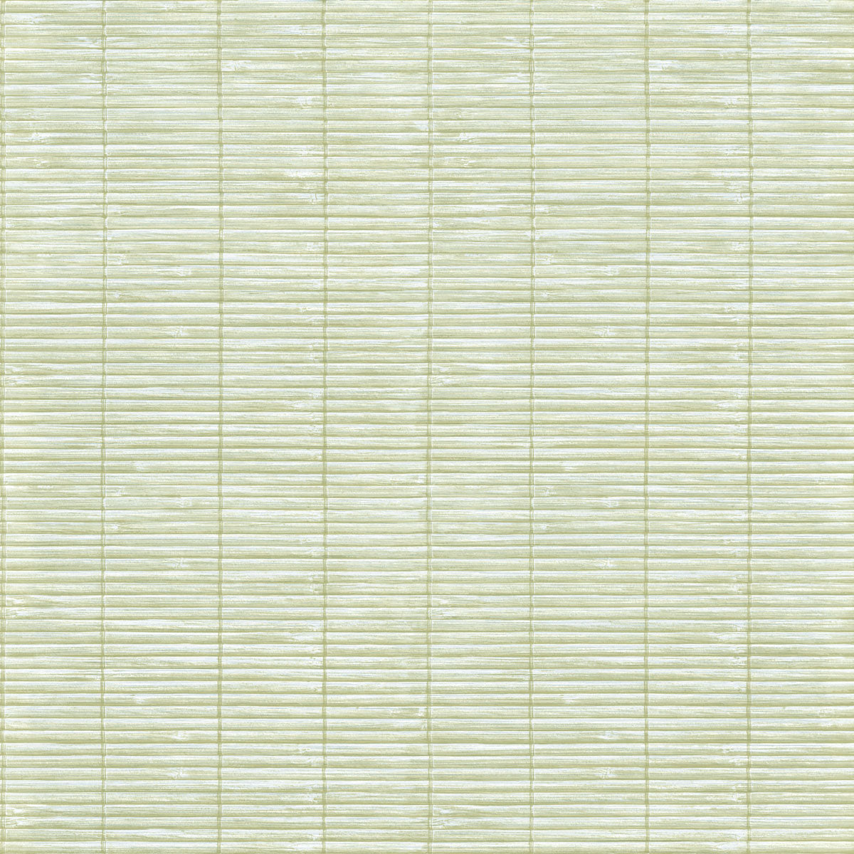 Carta da Parati MOMI Cristiana Masi Wallpaper cod. 4472