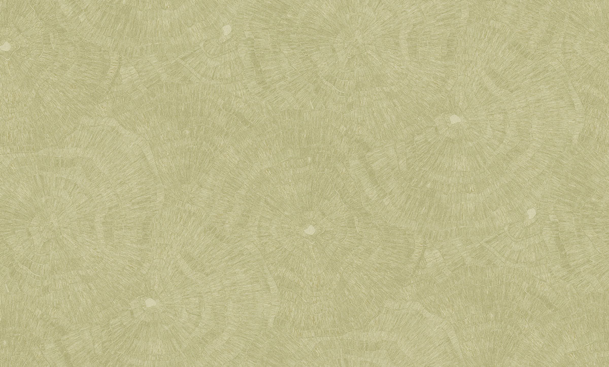Carta da Parati Metamorphosis Cristiana Masi Wallpaper cod. 6625