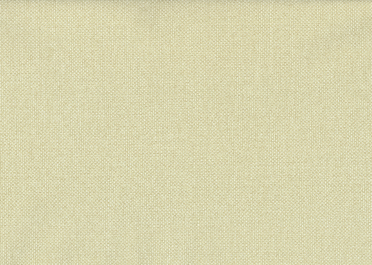Carta da Parati JV Design Amazzonia cod. 1001