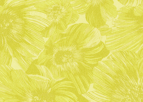 Carta da Parati Missoni Home 5  cod. 10500