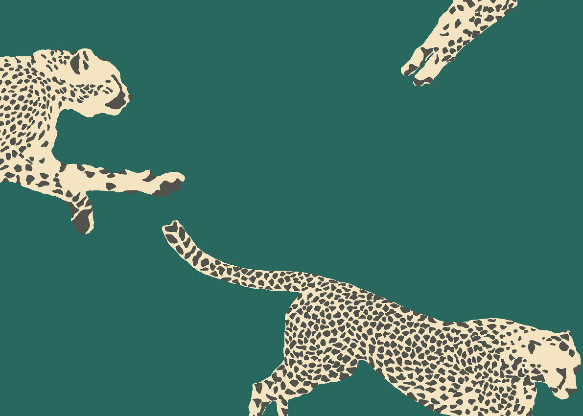 Carta da Parati Scalamandré JV Design Licence cod. 26018