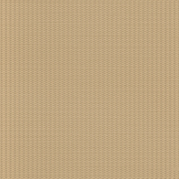 Carta da Parati Lamborghini 3 Z12835 Zambaiti Parati