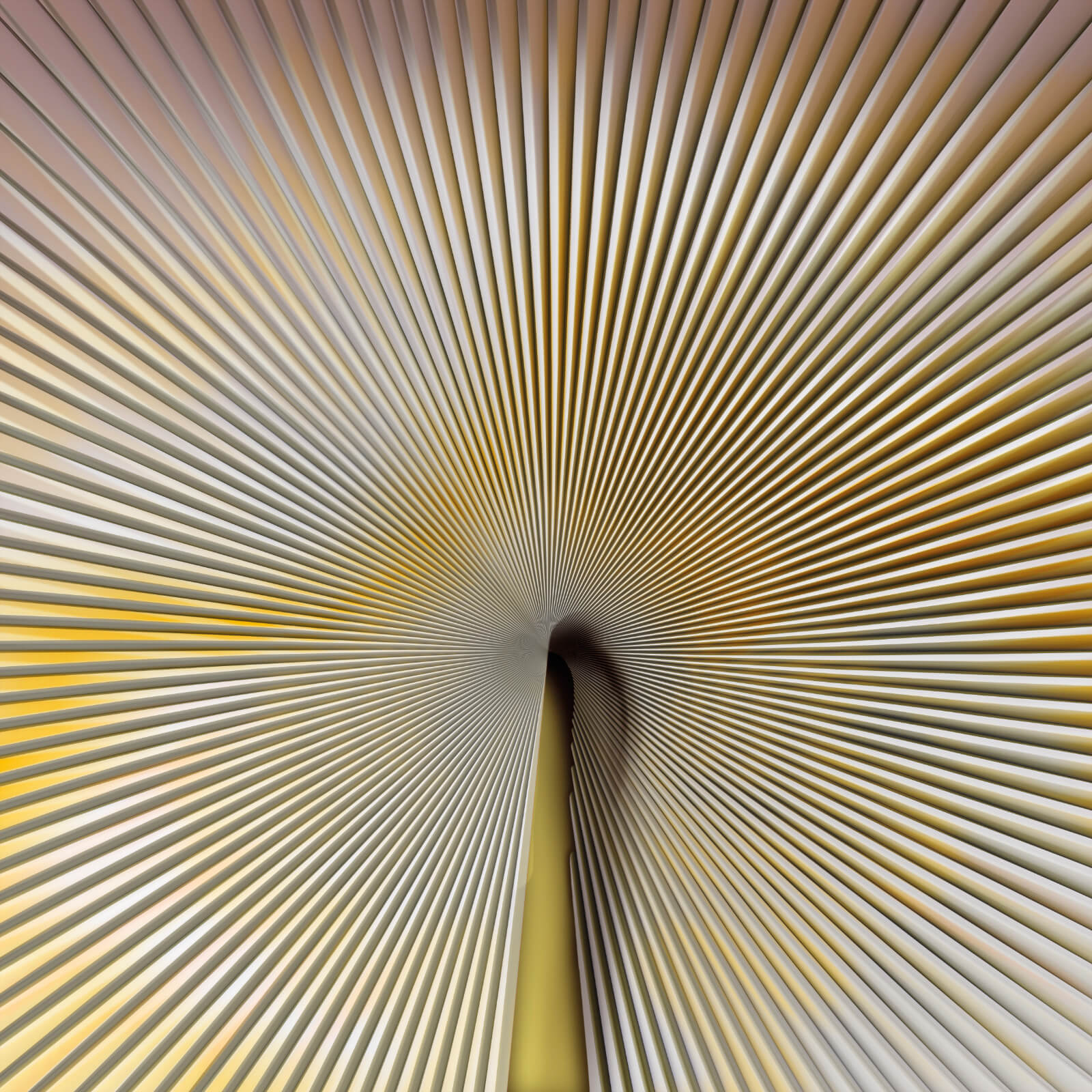 Carta da Parati Trussardi Casa VII Z18990 AL MQ. Zambaiti Parati