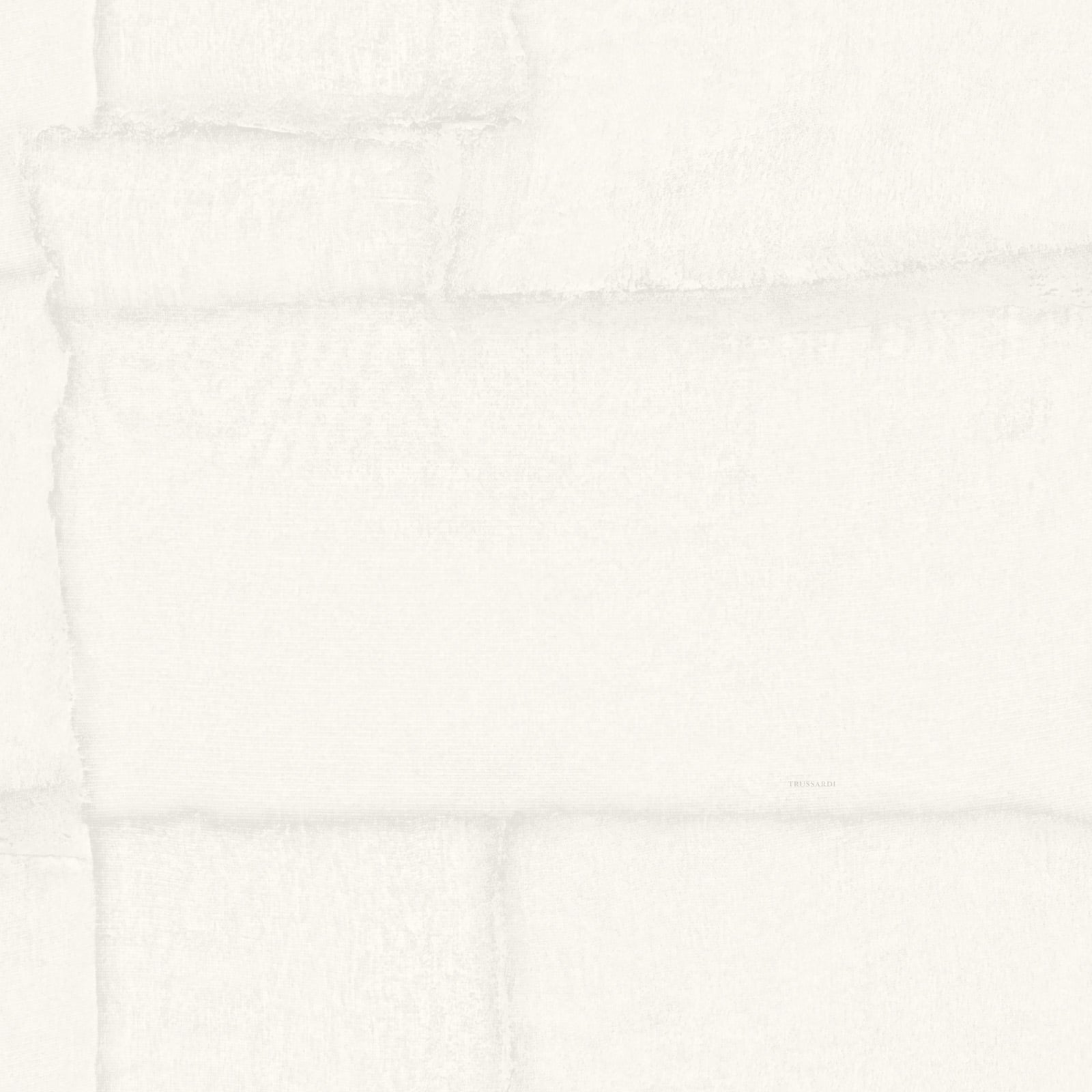 Carta da Parati Trussardi Casa 8 Z30302 Zambaiti Parati