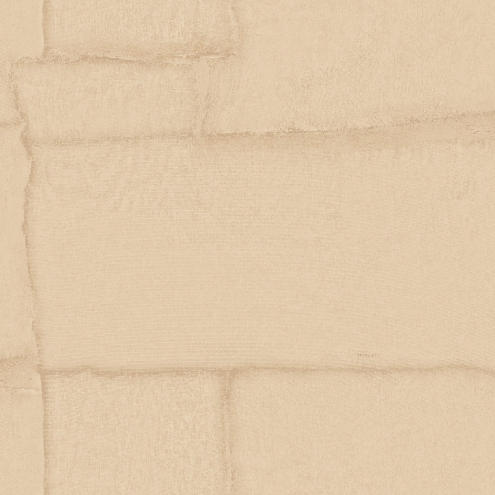 Carta da Parati Trussardi Casa 8 Z30304 Zambaiti Parati