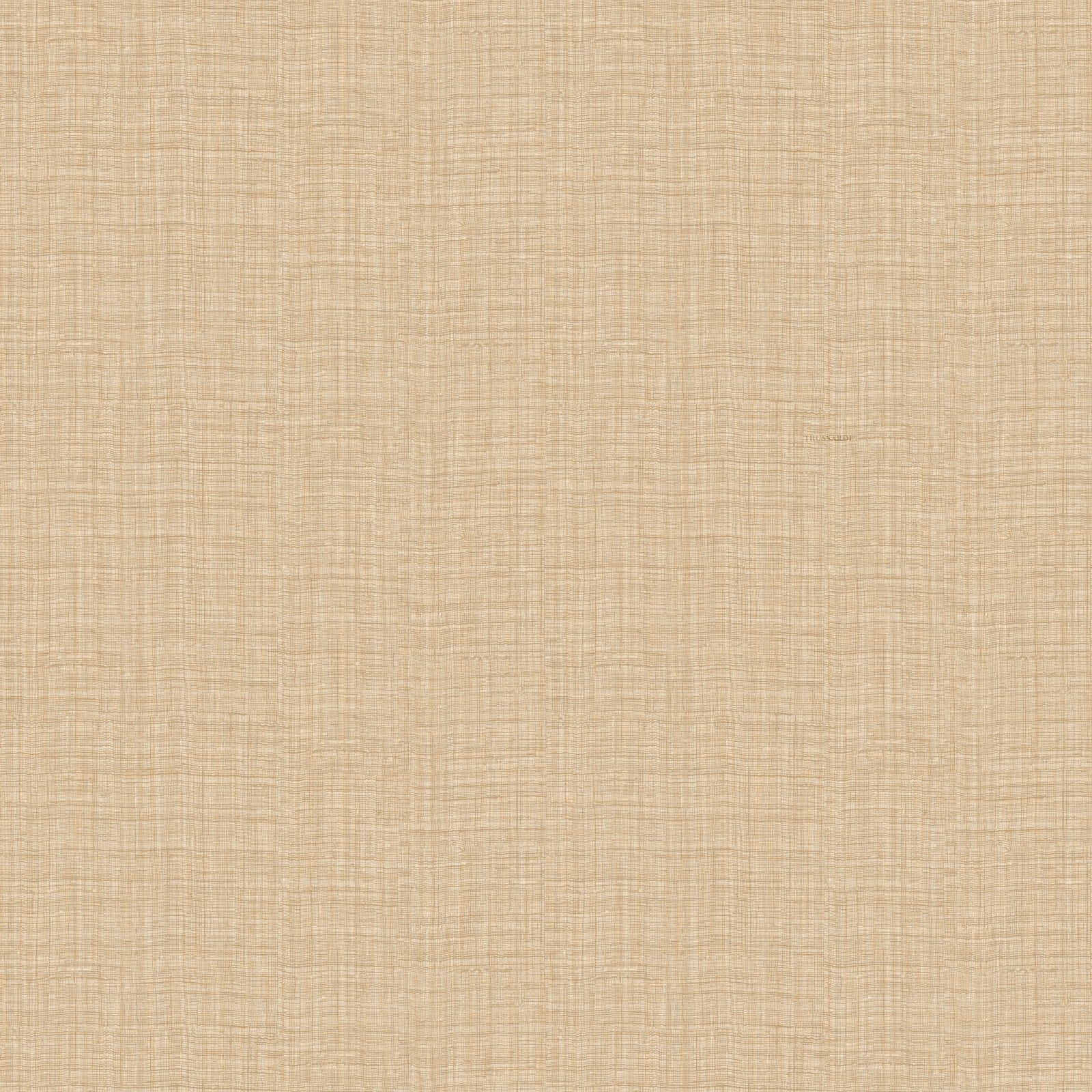 Carta da Parati Trussardi Casa 8 Z30329 Zambaiti Parati