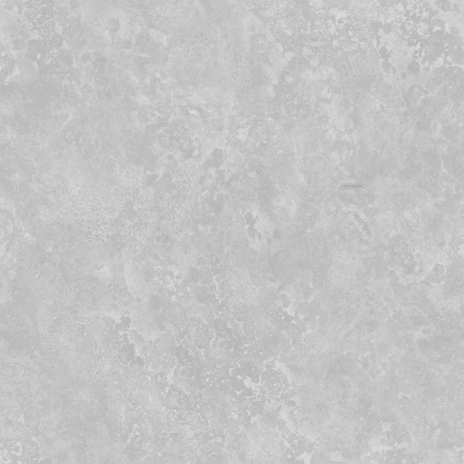 Carta da Parati Trussardi Casa 8 Z30342 Zambaiti Parati