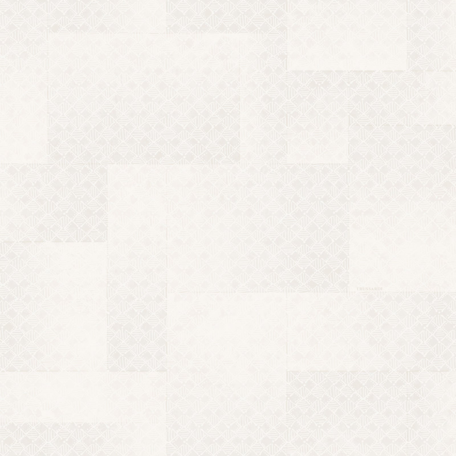 Carta da Parati Trussardi Casa 8 Z30345 Zambaiti Parati