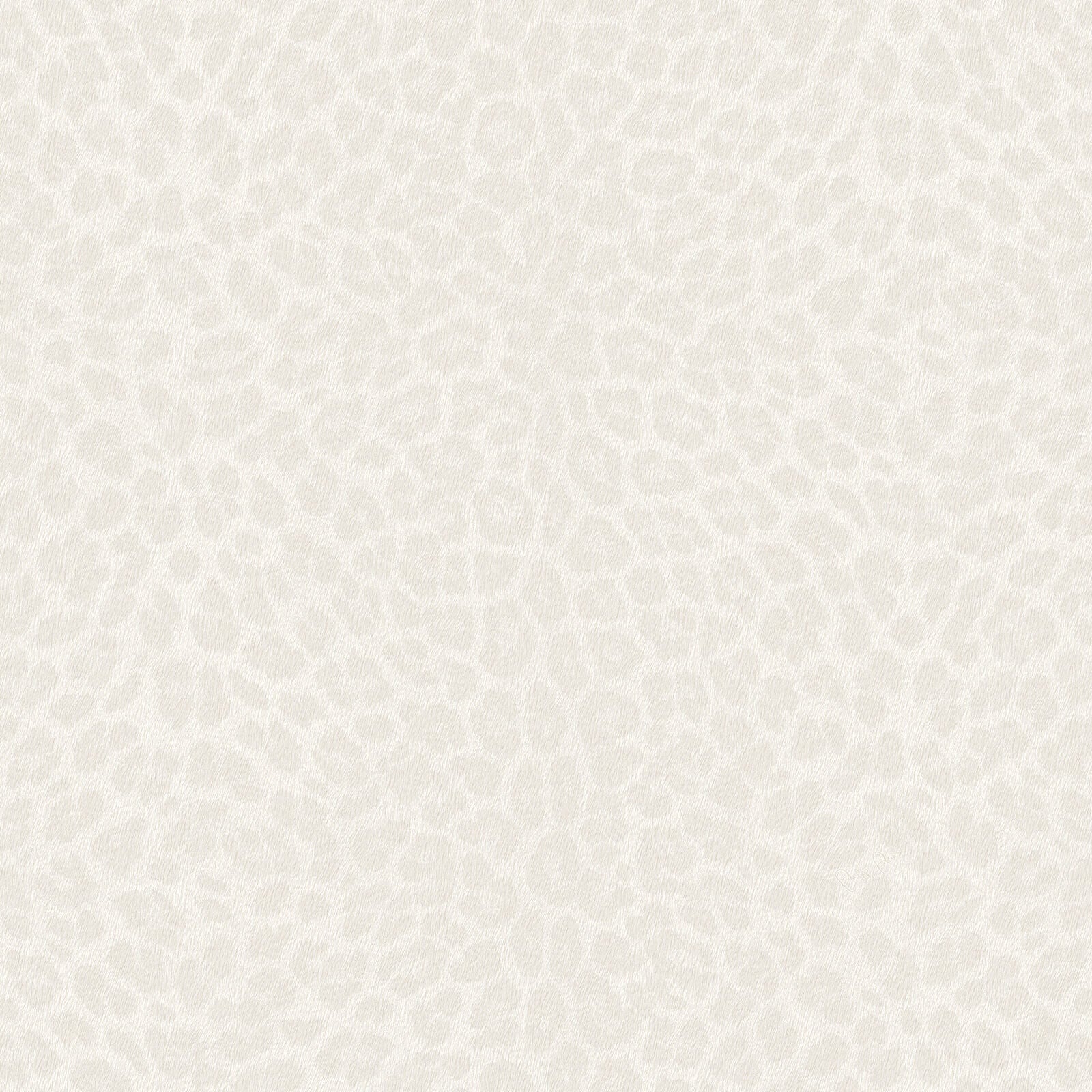 Carta da Parati Philipp Plein 2 Zambaiti Parati Z81030