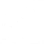 Vintage Prestige 500 ml.