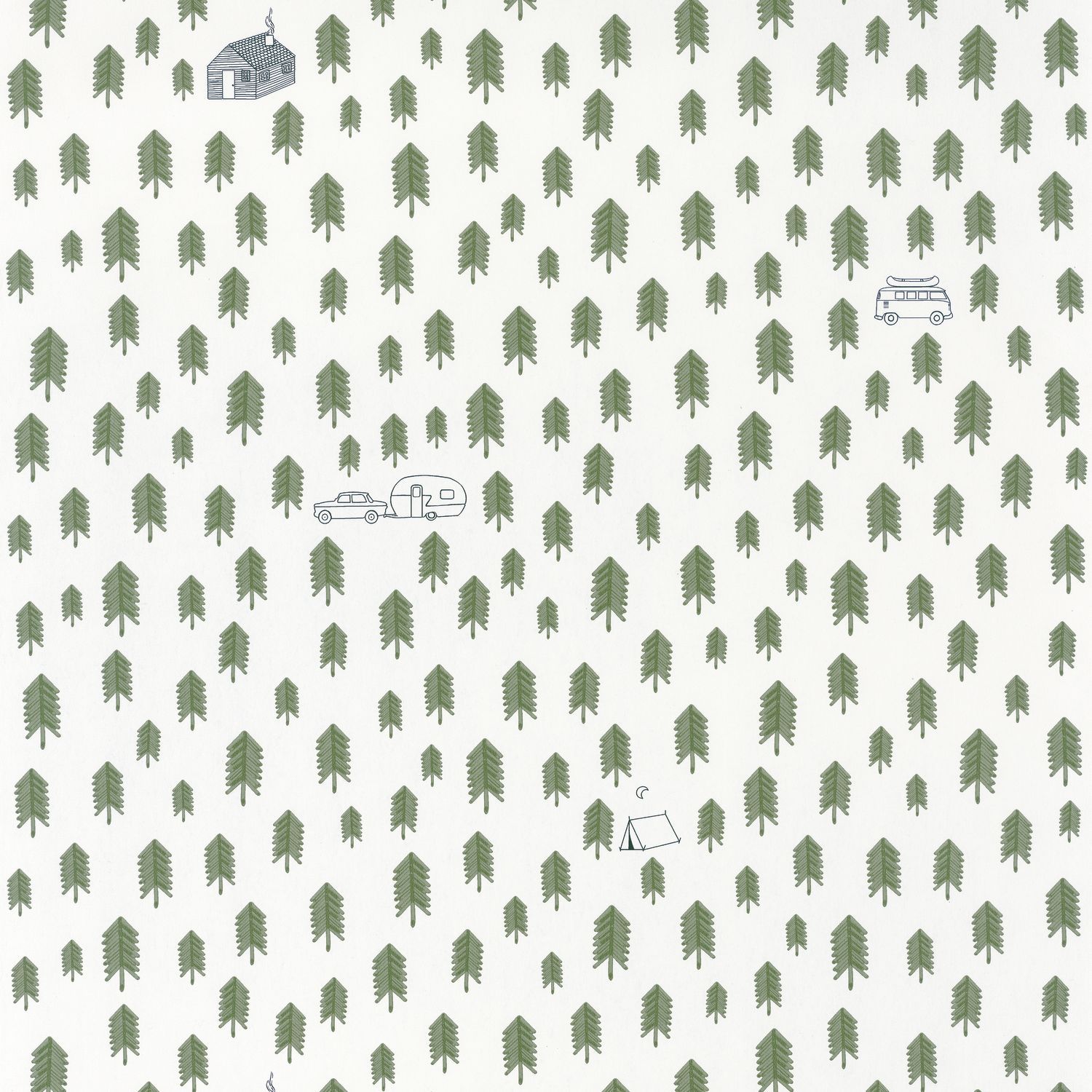 Carta da Parati Our Planet Caselio Wallpaper