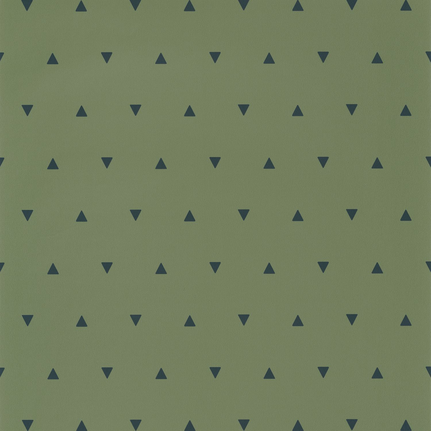 Carta da Parati Our Planet Caselio Wallpaper