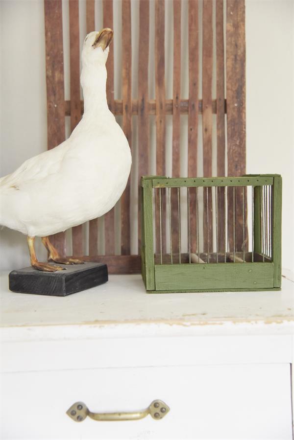 Chalk Paint - Olive Green