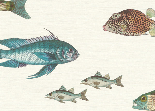 Carta da Parati Fiaba JV Exclusive Wallpaper Collection cod. 53529