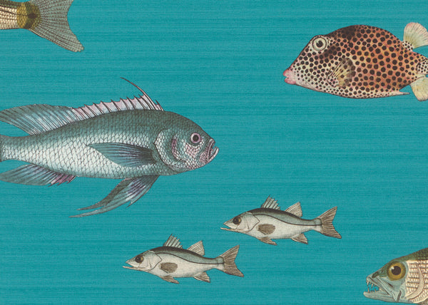 Carta da Parati Fiaba JV Exclusive Wallpaper Collection cod. 53536