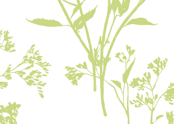 Carta da Parati Newport Southport JV Exclusive Parati cod. 80704