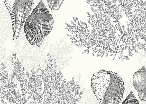 Carta da Parati Newport Nauset JV Exclusive Parati cod. 81200