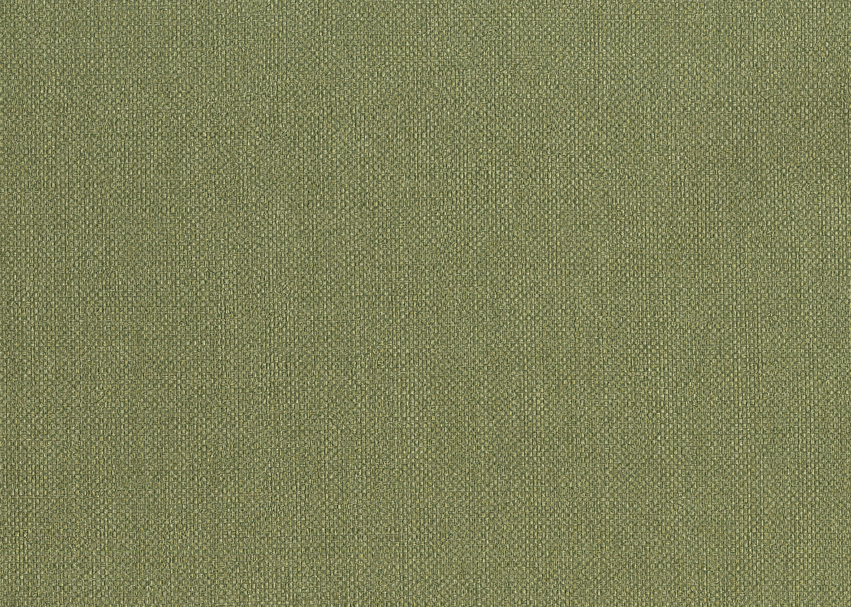 Carta da Parati Baobab Lemuria JV Italian Design Parati cod. 6555