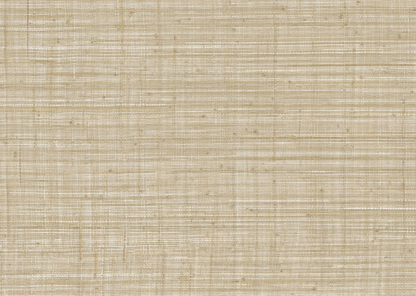 Carta da Parati Tierra JV Italian Design Parati cod. 6659