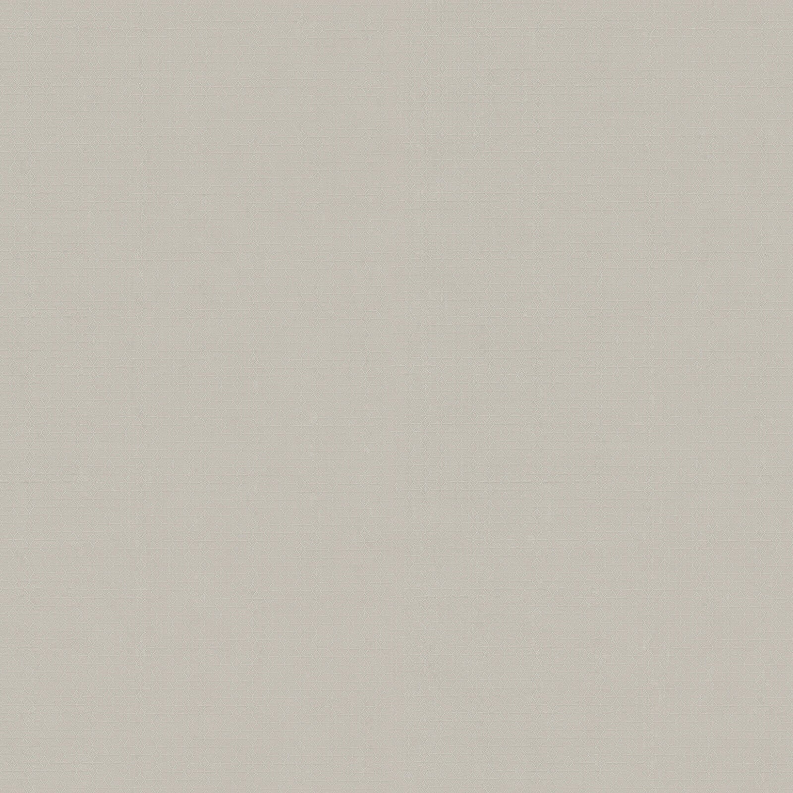 Carta da Parati Fuksas Zambaiti Contract Z54512