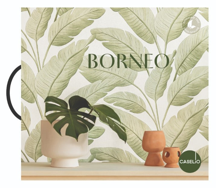 Caselio Wallpaper - Borneo