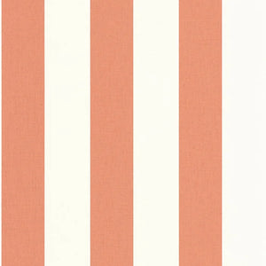 Carta da Parati Basics cod. 104044024 Caselio Wallpaper