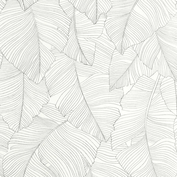 Carta da Parati Borneo cod. 106500929 Caselio Wallpaper