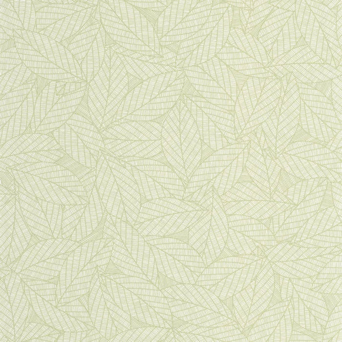 Carta da Parati ELEA cod. 107347004 Caselio Wallpaper