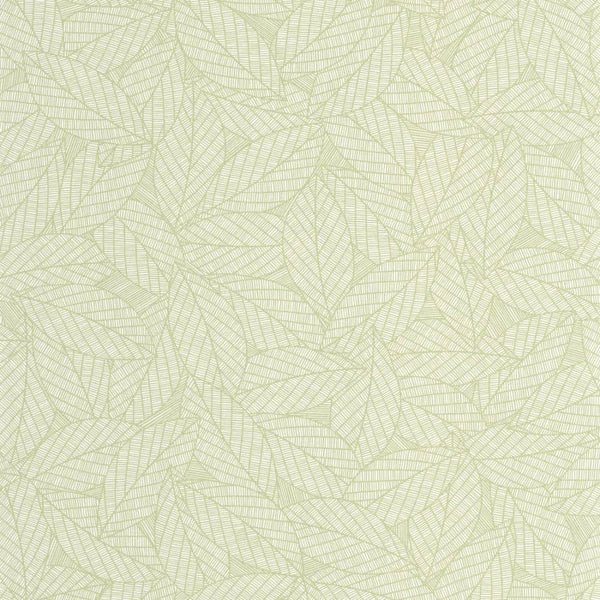 Carta da Parati ELEA cod. 107347004 Caselio Wallpaper