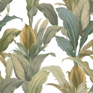 Carta da Parati Botany House Cristiana Masi Wallpaper cod. 15513