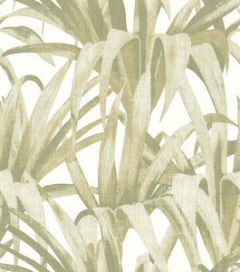 Carta da Parati Botany House Cristiana Masi Wallpaper cod. 15525