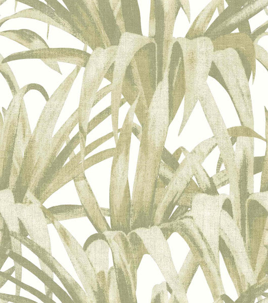 Carta da Parati Botany House Cristiana Masi Wallpaper cod. 15525