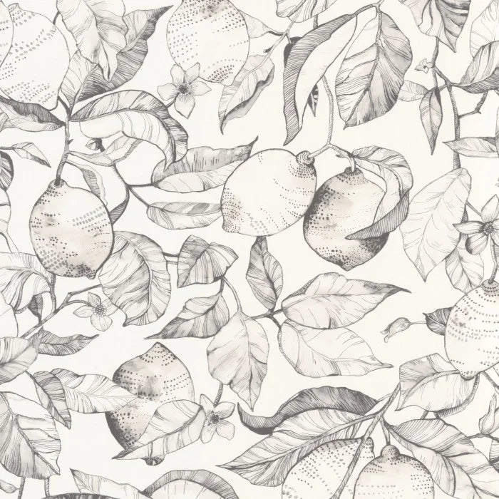 Carta da Parati Soliflore Casadeco Wallpaper