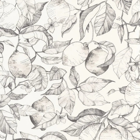 Carta da Parati Soliflore Casadeco Wallpaper