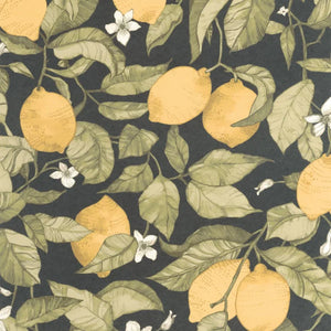 Carta da Parati Soliflore Casadeco Wallpaper