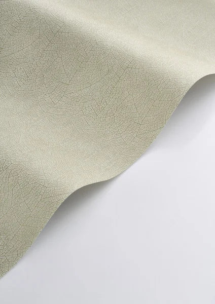 Carta da Parati Vegetals cod. 201287117 Casadeco Wallpaper