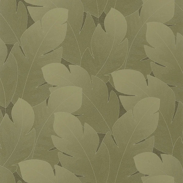 Carta da Parati Vegetals cod. 201297606 Casadeco Wallpaper