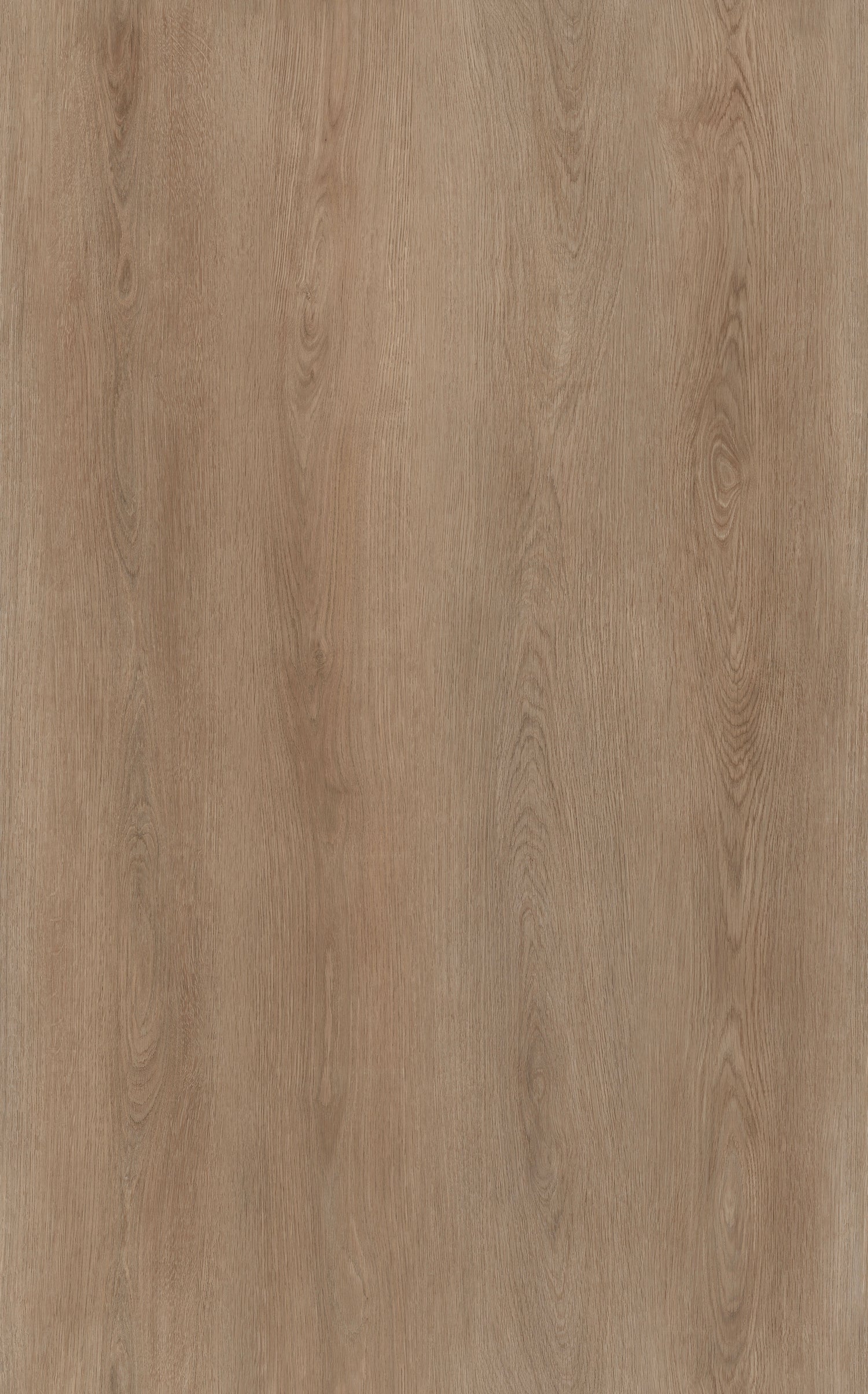 Plancia SPC Euroclup Effetto Legno Rovere Canyon