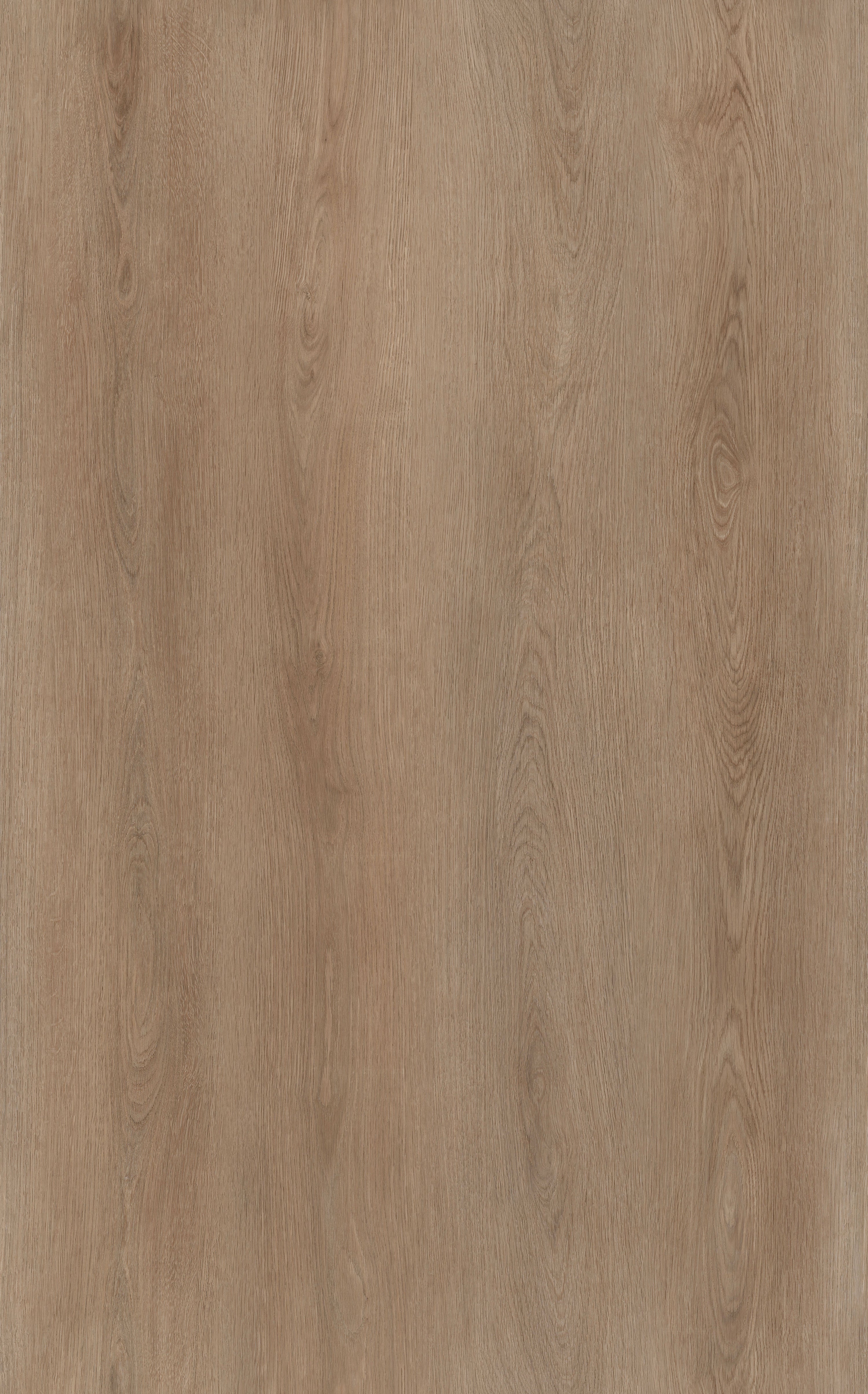 Plancia SPC Euroclup Effetto Legno Rovere Canyon