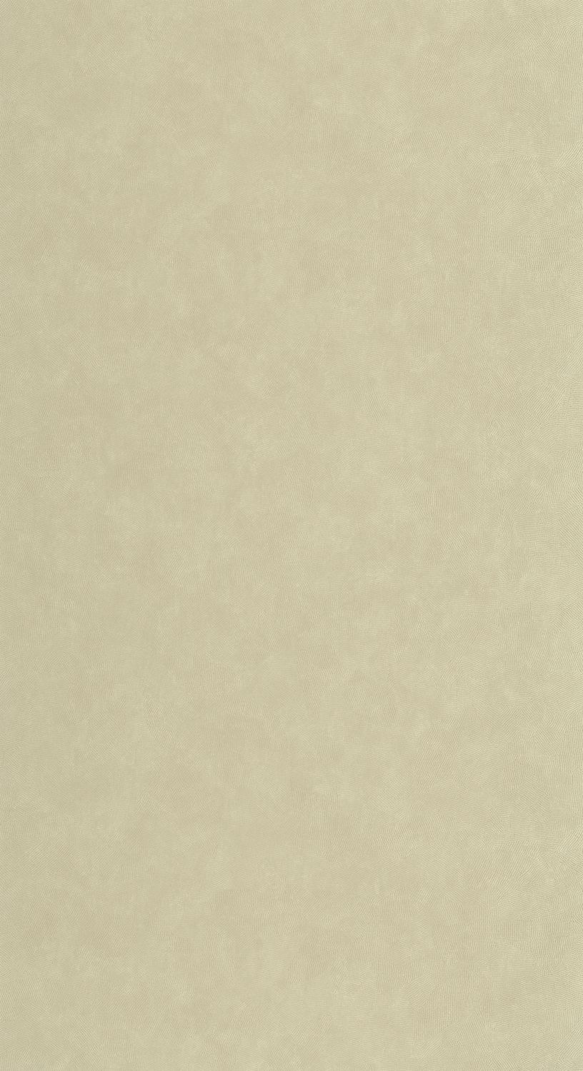 Carta da Parati Canopée cod. 202667333 Casadeco Wallpaper