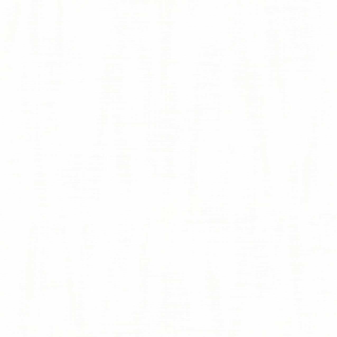 Carta da Parati RIO Cristiana Masi Wallpaper cod. 2067