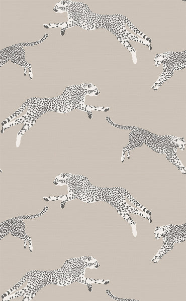 Carta da Parati Scalamandré JV Design Licence cod. 26023 Raphia