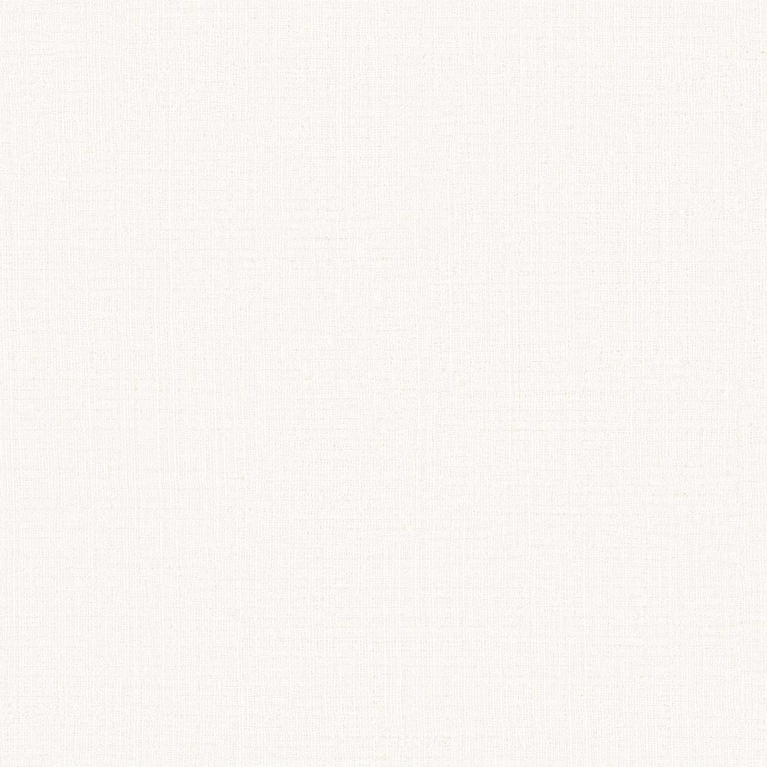 Carta da Parati Sintesi Cristiana Masi Wallpaper cod. 27560
