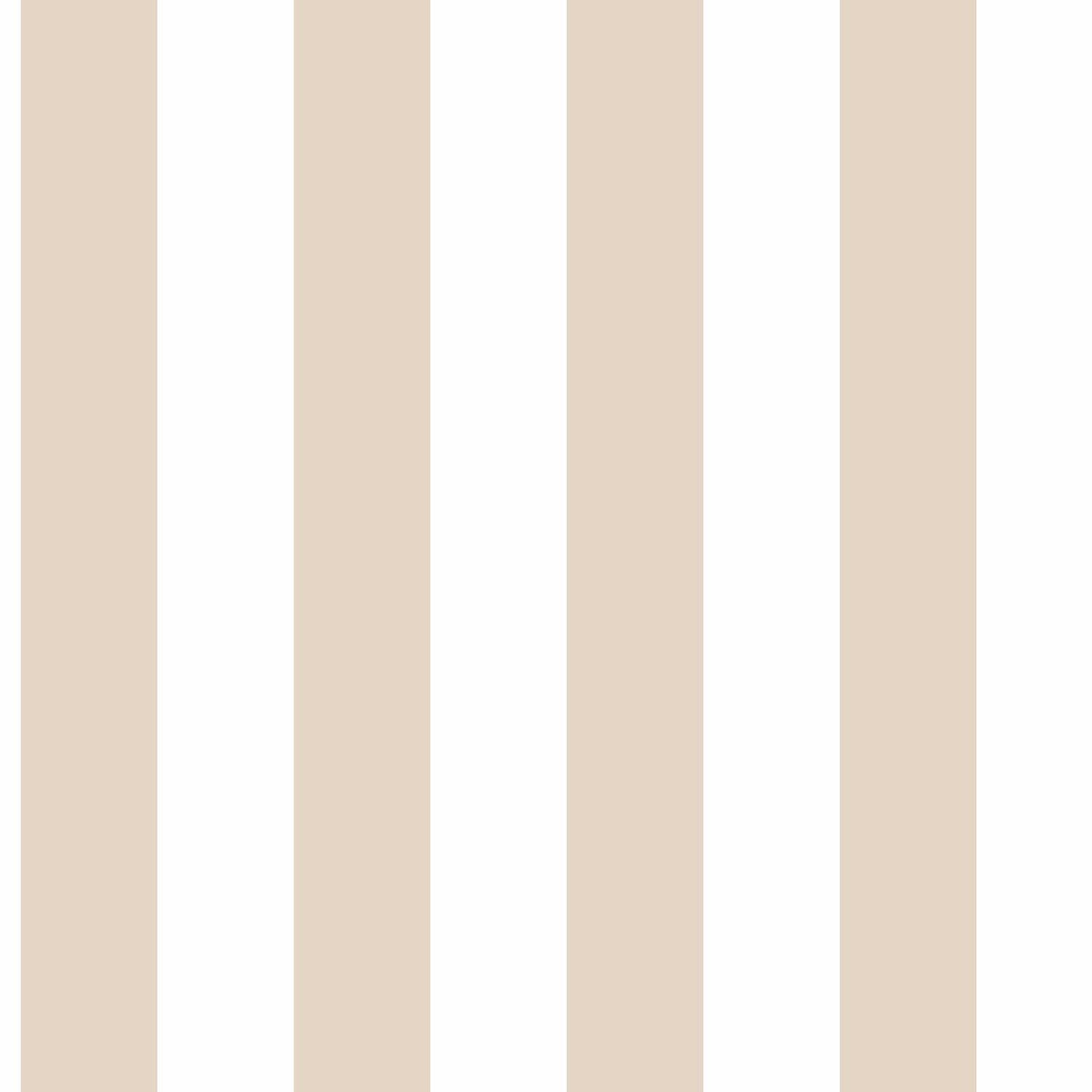 Carta da Parati Top Stripes Cristiana Masi Wallpaper cod. 38442