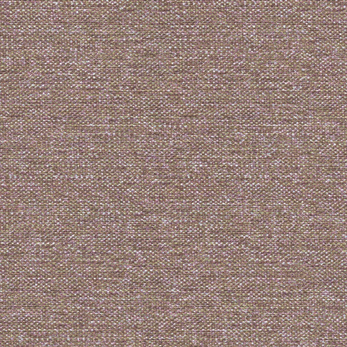 Carta da Parati Jaipur Cristiana Masi Wallpaper cod. 5864