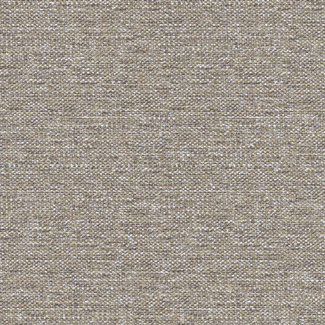 Carta da Parati Jaipur Cristiana Masi Wallpaper cod. 5869
