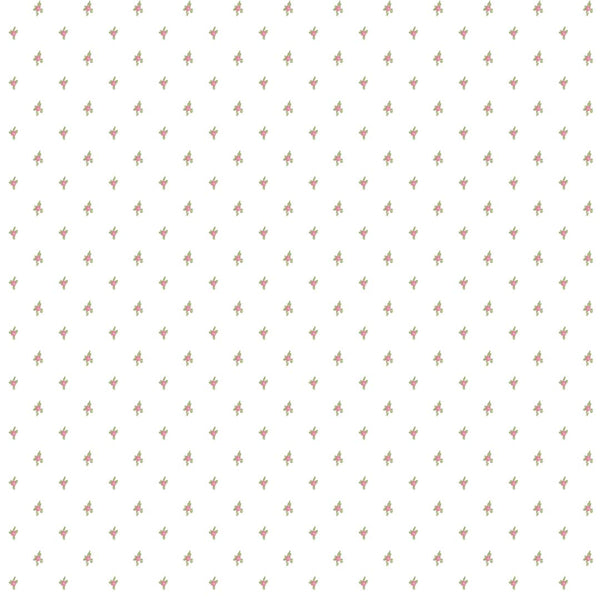 Carta da Parati BLOOMING GARDEN Cristiana Masi Wallpaper cod. 8368