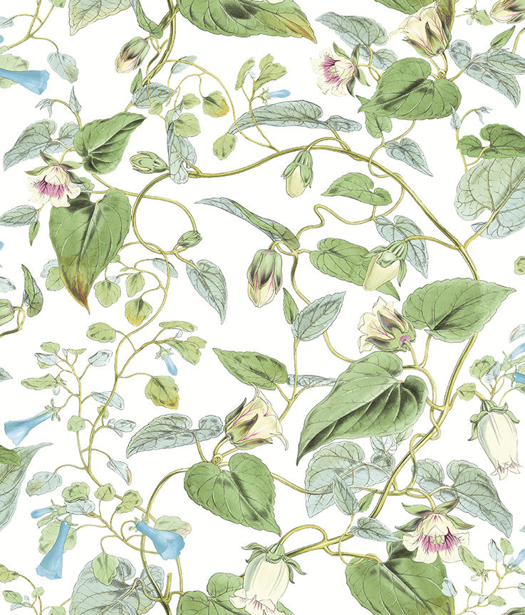 Carta da Parati Blooms 2nd Edition MOON FLOWER JV Exclusive Parati