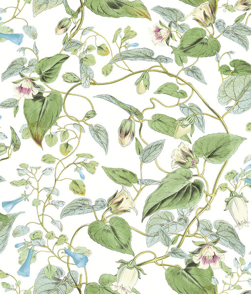 Carta da Parati Blooms 2nd Edition MOON FLOWER JV Exclusive Parati