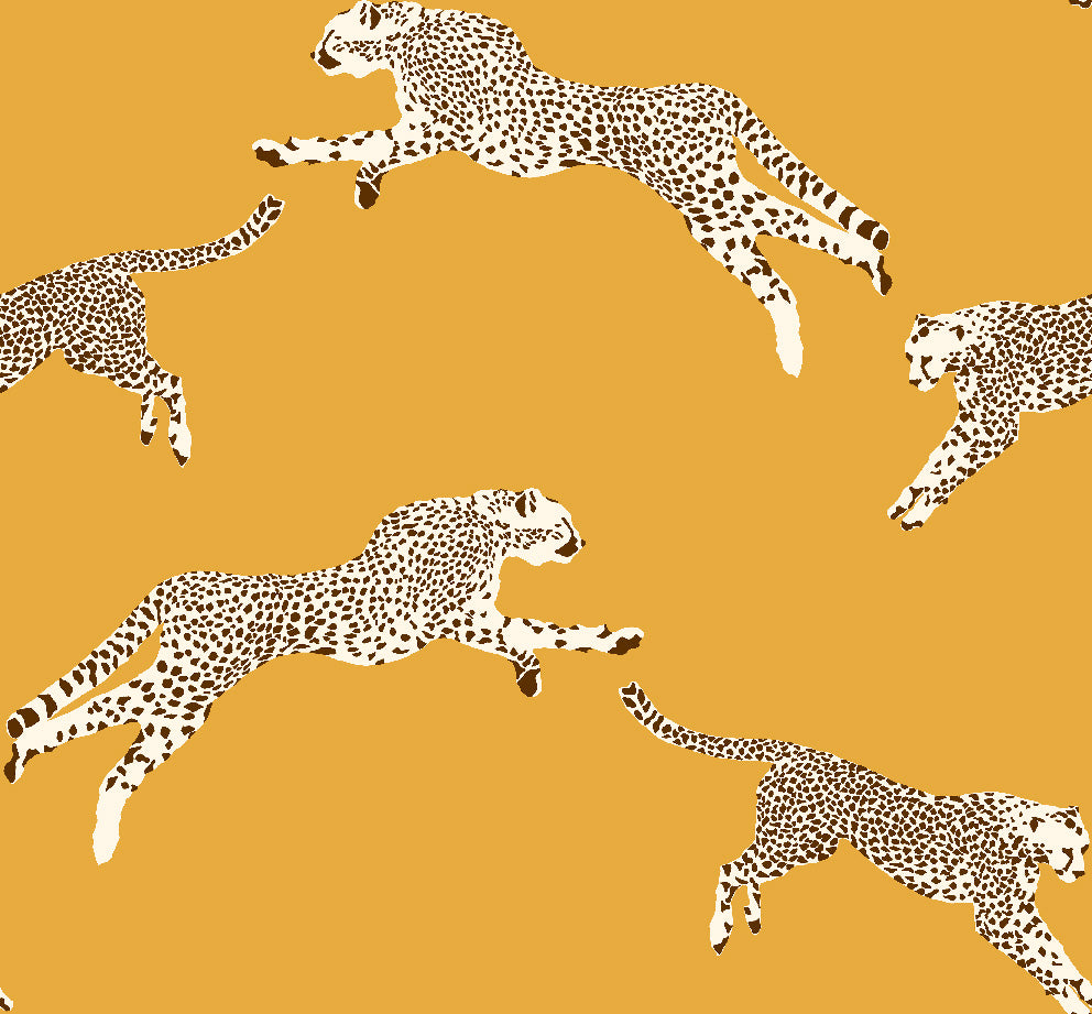 Carta da Parati Scalamandré JV Design Licence cod. 26020